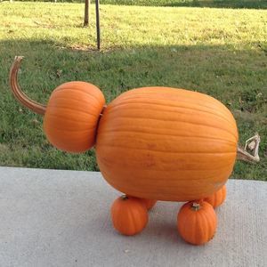 Meet your Posher, Becky